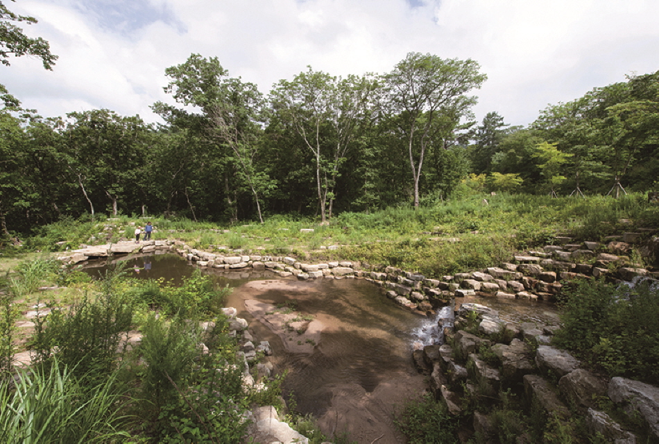 国立森林治愈园 image 1