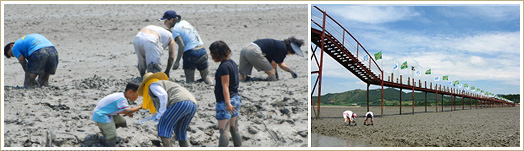 Island Mudflats Festival
