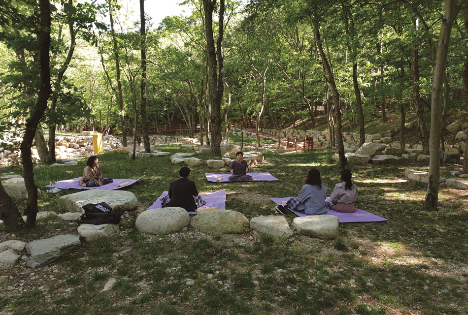 National Center for Forest Therapy, Daeunsan image 3