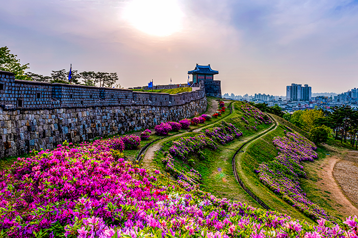 Two Days of Cultural Fun in Suwon & Yongin