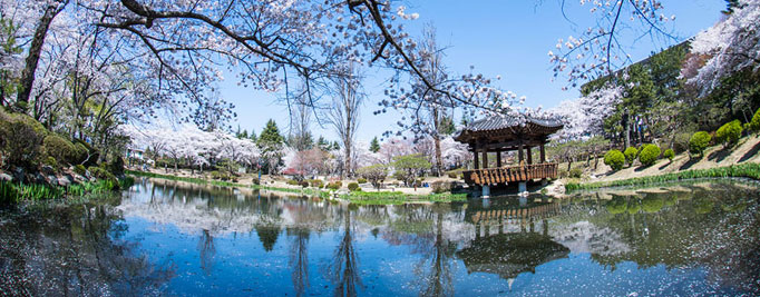 1,000 Years of History, Gyeongju