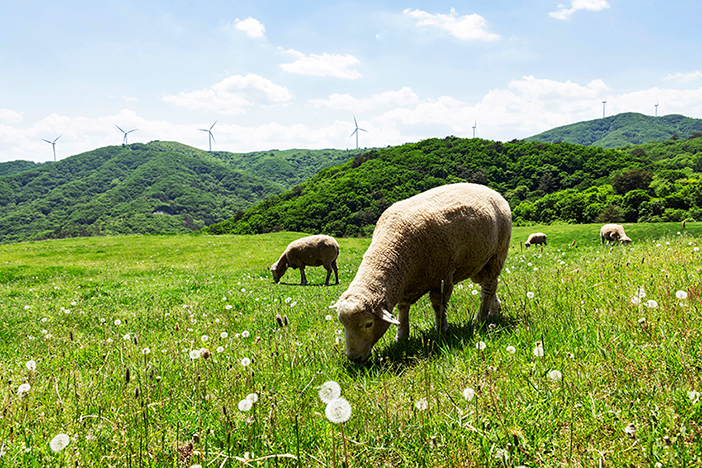 Two Days in the Pure Scenery of Pyeongchang & Jeongseon