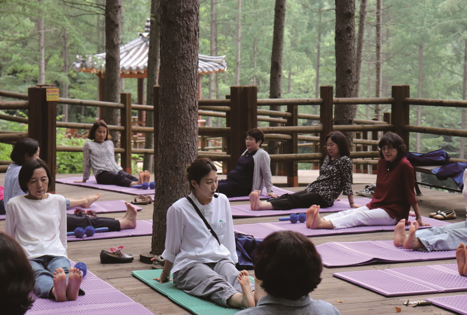 National Center for Forest Therapy, Gimcheon image 4