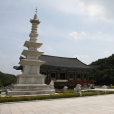 Twice the Happiness with a Templestay in Spring!