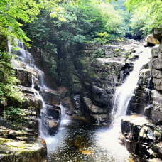 Gangwon-do’s Eastern Coast Quickly Recovers from Wildfire