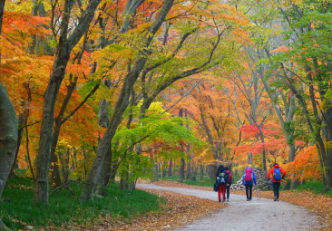 25 Contact-free Tourist Attractions to Visit This Fall