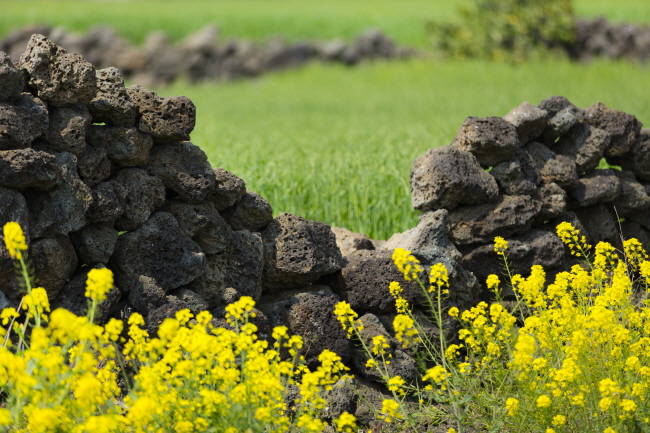 Top 10 Jeju Attractions To Visit This June Official Korea Tourism