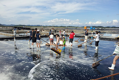 Taepyung Salt Farm Maritime Healing Spa image2
