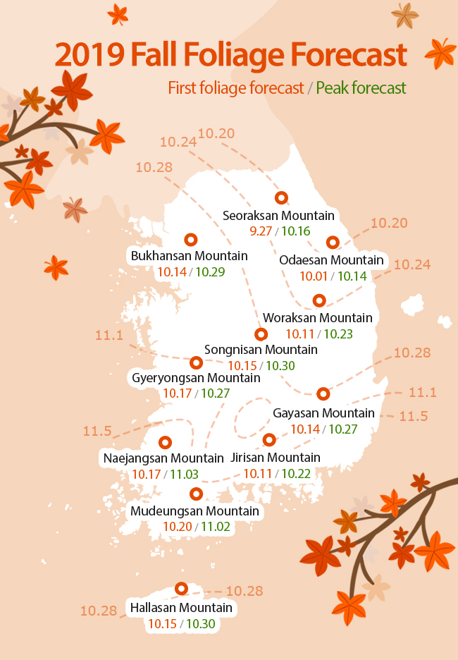 Autumn Fall Leaves Chart