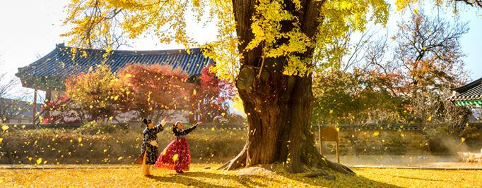 The City of Flavors, Jeonju