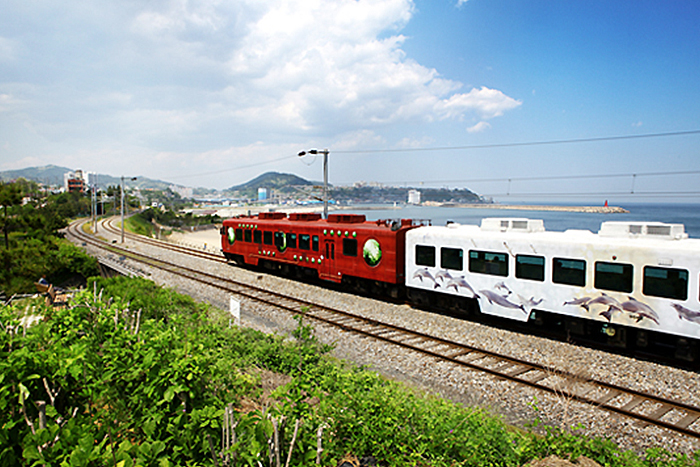 Sea Train