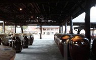 伝統酒博物館山査園