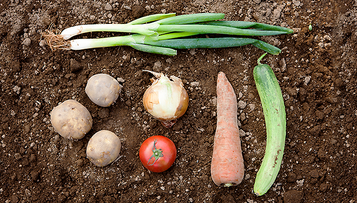 The ingredients of Korean Food