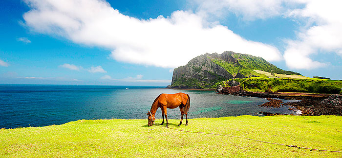 Jeju