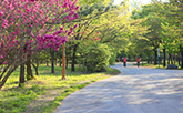 平和の公園
