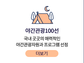 야간관광100선 - 국내 곳곳의 매력적인 야간관광자원과 프로그램 선정 더보기