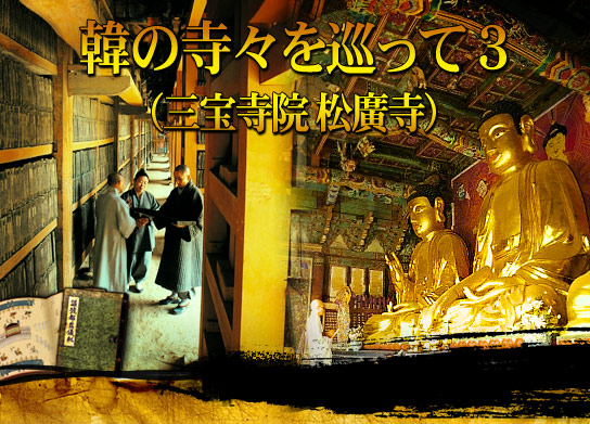 韓の寺々を巡って ３（三宝寺院 松廣寺）