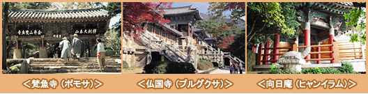 各寺院のご紹介
