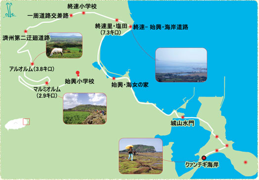 コース