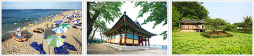 江陵(カンヌン)