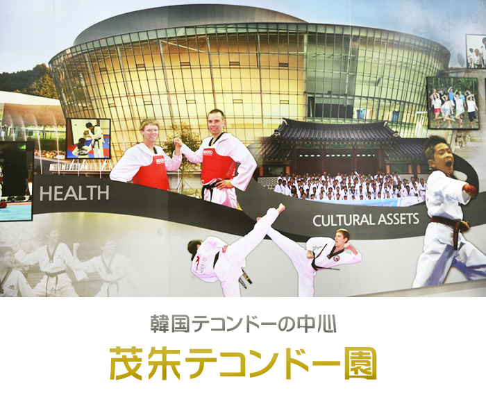 韓国テコンドーの中心 茂朱テコンドー園