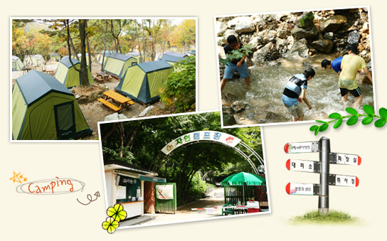 Natural Campsite in Seoul Grand Park