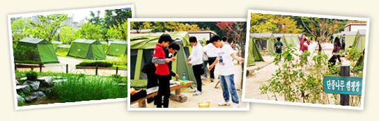 Gangdong Greenway Family Campground