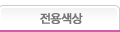 전용색상