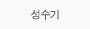 성수기