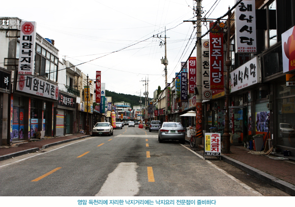 영암 독천리에 자리한 낙지거리에는 낙지요리 전문점이 즐비하다.