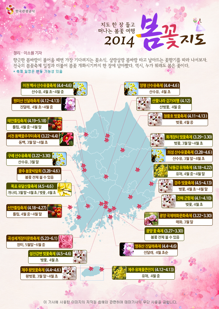 봄꽃처럼 이미지