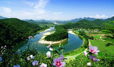 무궁화 삼천리