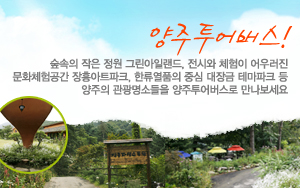 2010 양주 시티투어 운행정보