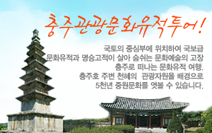 2010 충주관광문화유적투어 운행정보
