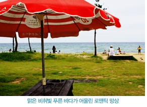 맑은 비취빛 푸른 바다가 어울린 로맨틱 망상