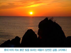촛대 바위 위로 붉은 빛을 토하는 해돋이 장면은 감동 그자체다.