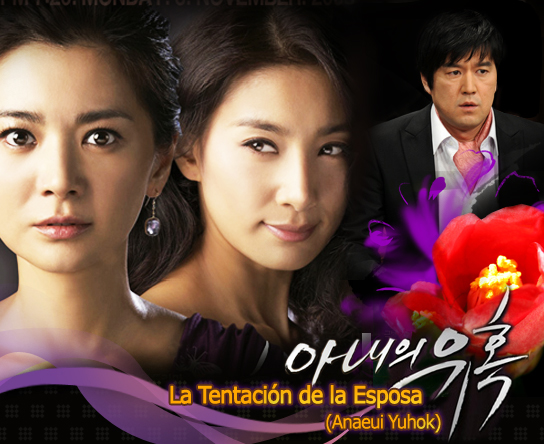La Tentación de la Esposa (Anaeui Yuhok)