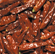 Comida coreana-Pimiento picante