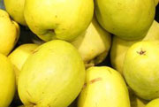Té de membrillo “mogwacha”