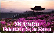 25 Paisajes Primaverales en Corea