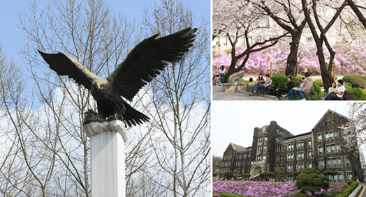 Universidad Yonsei