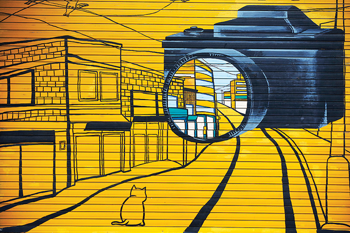 셔터문에 그려진 그림(건물 앞 큰 사진기, 길가에 앉은 고양이 한마리)