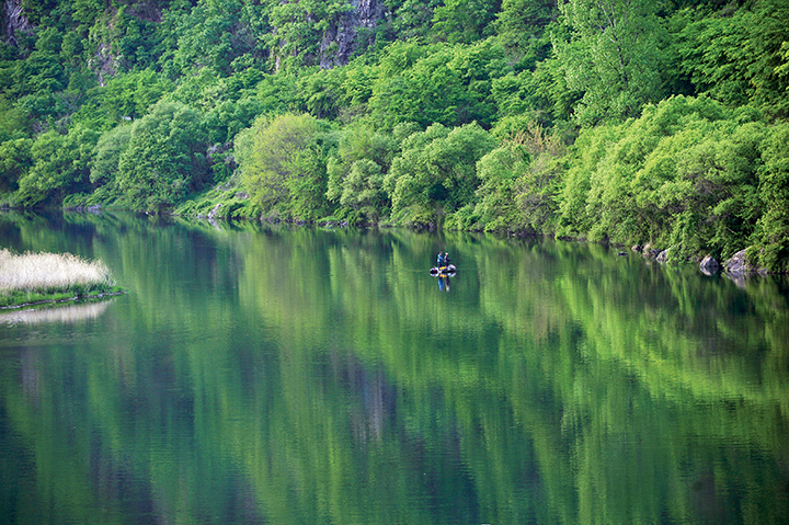 초록빛 나무들로 둘러싸인 금강