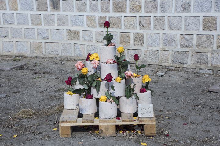 돌담 앞 나무판자 위에 연탄탑, 연탄안에 꽃이 한두송이 꽂혀있고 트리형태로 쌓아놓은 연탄재