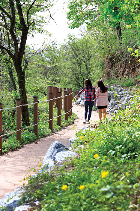 낙동강 쌍절암 생태숲길을 걸어가는 두 여인의 뒷모습