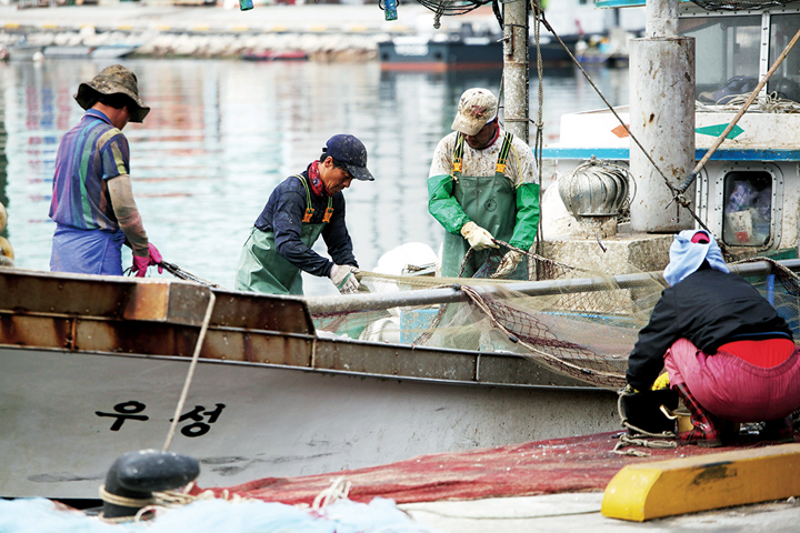 기장 대변항 풍경, 육지에 배를 대고 그물 손질을 하는 어부들