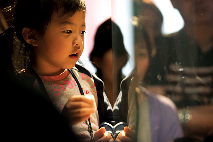부여국립박물관에 전시된 전시물을 보고 있는 어린이