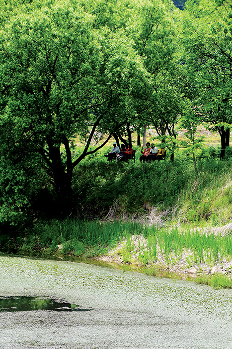 초록의 풀과 나무로 가득한 저수지 둘레, 벤치에 앉아 쉬고 있는 사람들