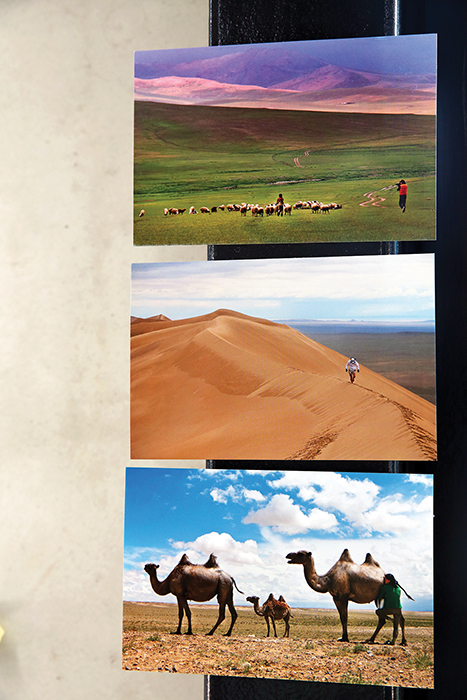 벽에 붙여있는 3장의 사진(푸른 초원, 사막, 낙타세마리)