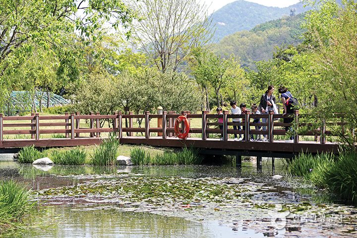 국립과천과학관 야외 나무데크길에서 물속을 들여다 보는 아이들